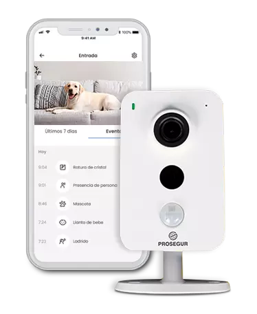 Sensores de movimiento compatible con mascotas: Tecnología PetReady